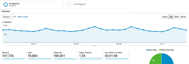 DIY-PETE-web-statistics