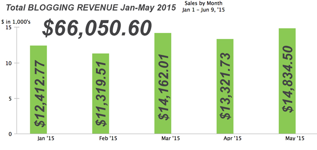 Think Entrepreneurship and DIY PETE Blogging Revenue